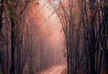 中国最新体育动态有哪些亮点？