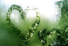 哪里能看日本J联赛直播？J联赛直播有哪些值得关注的亮点？